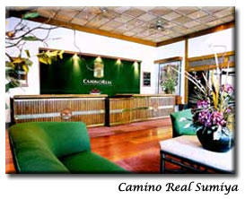 cacuersu galeria 7