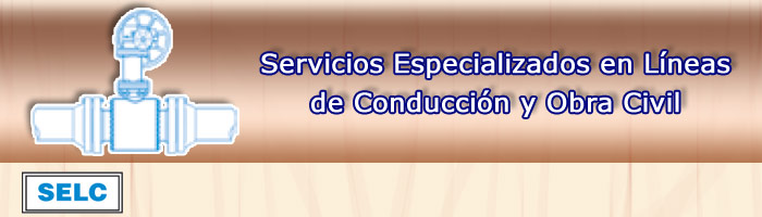 sesplin portada 1